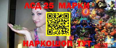 стафф Моздок