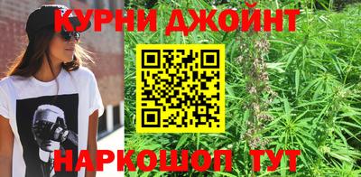 стафф Моздок