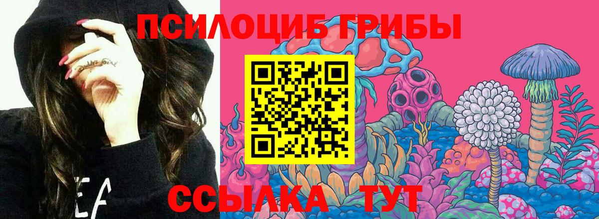 Псилоцибиновые грибы ЛСД  Вход с VPN  Алатырь 