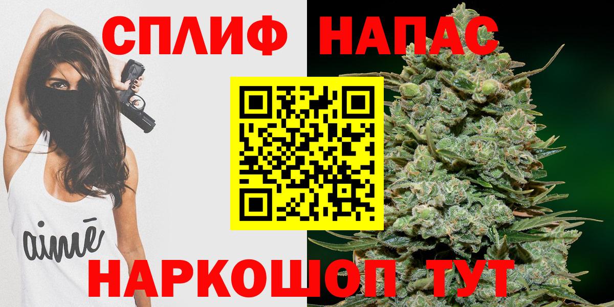 Конопля конопля Алатырь